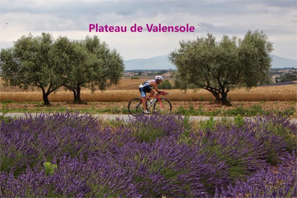 Coeur De Ville, T2, Rue Pietonne, Digne Les Bains 외부 사진